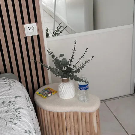 Le Vegetal Apartment *
